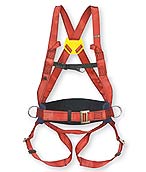 Full body harness